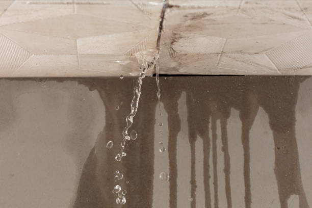 Professional Sewage Cleanup technician working in Kingsport, TN